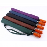 automatic 2 foldable umbrella